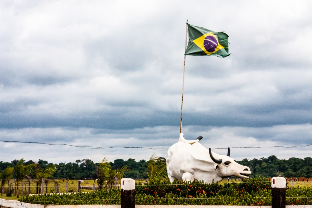 Licença especial acelera licenciamento para empreendimentos que vão do agro à exploração de petróleo na Amazônia