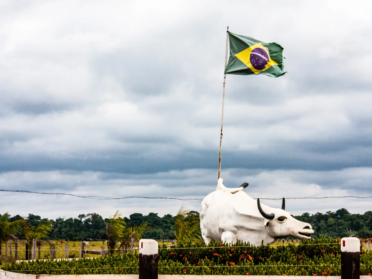 Licença especial acelera licenciamento para empreendimentos que vão do agro à exploração de petróleo na Amazônia