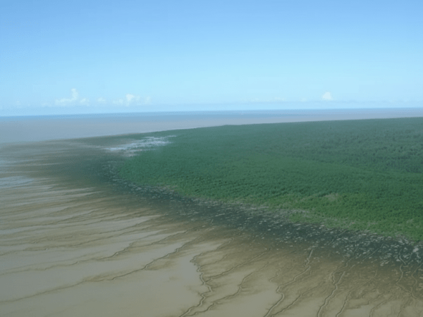 Povos Indígenas do Oiapoque denunciam falta de comunicação da Petrobras após vazamento