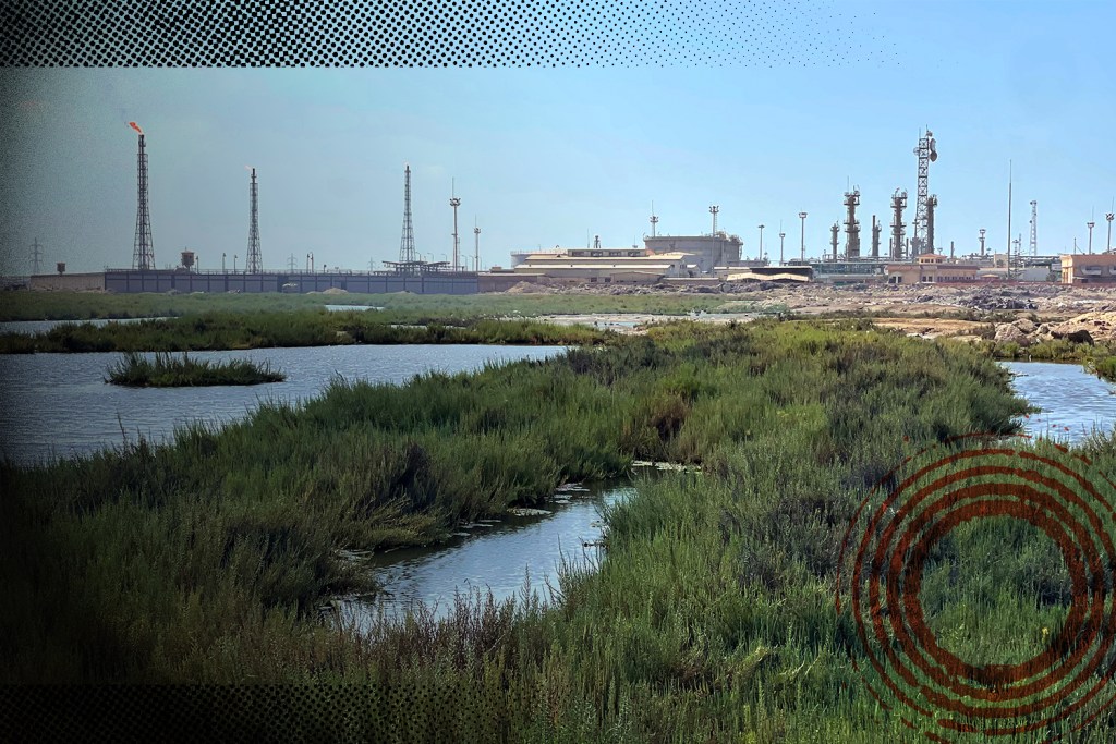 7 mil áreas protegidas estão ameaçadas por projetos de petróleo e gás em todo o mundo