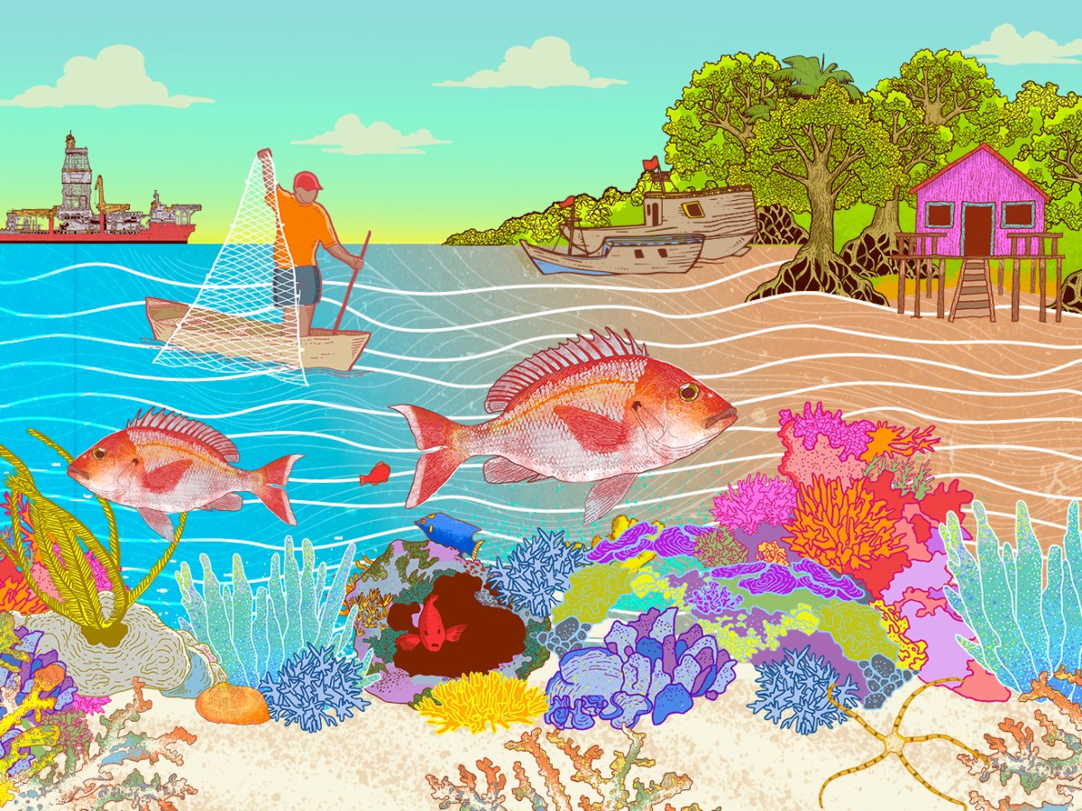 Petrobras divulga nova simulação para vazamento de óleo e ignora riscos aos recifes amazônicos