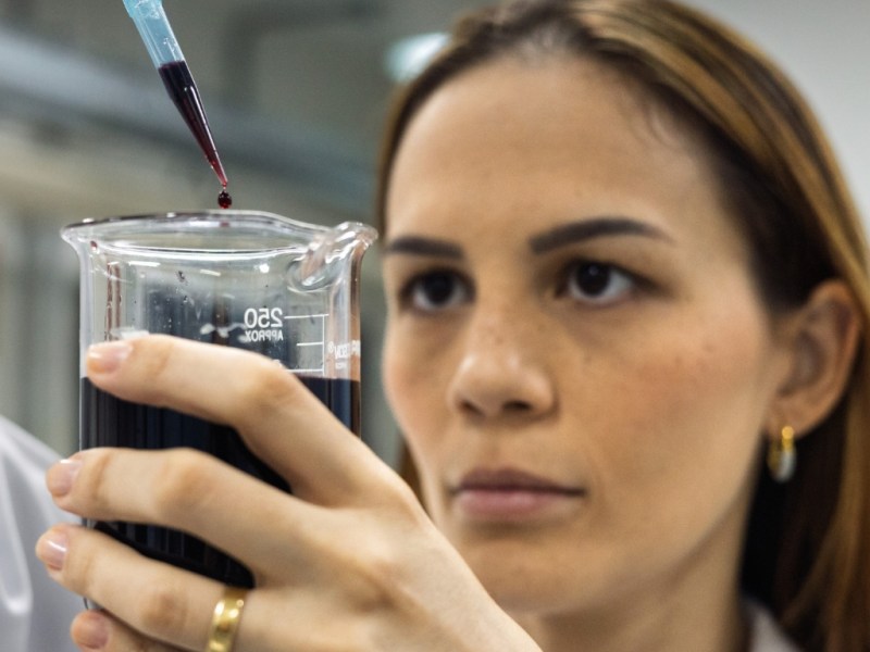 Açaí como neuroprotetor: consumo na infância e adolescência previne ansiedade e depressão, aponta estudo