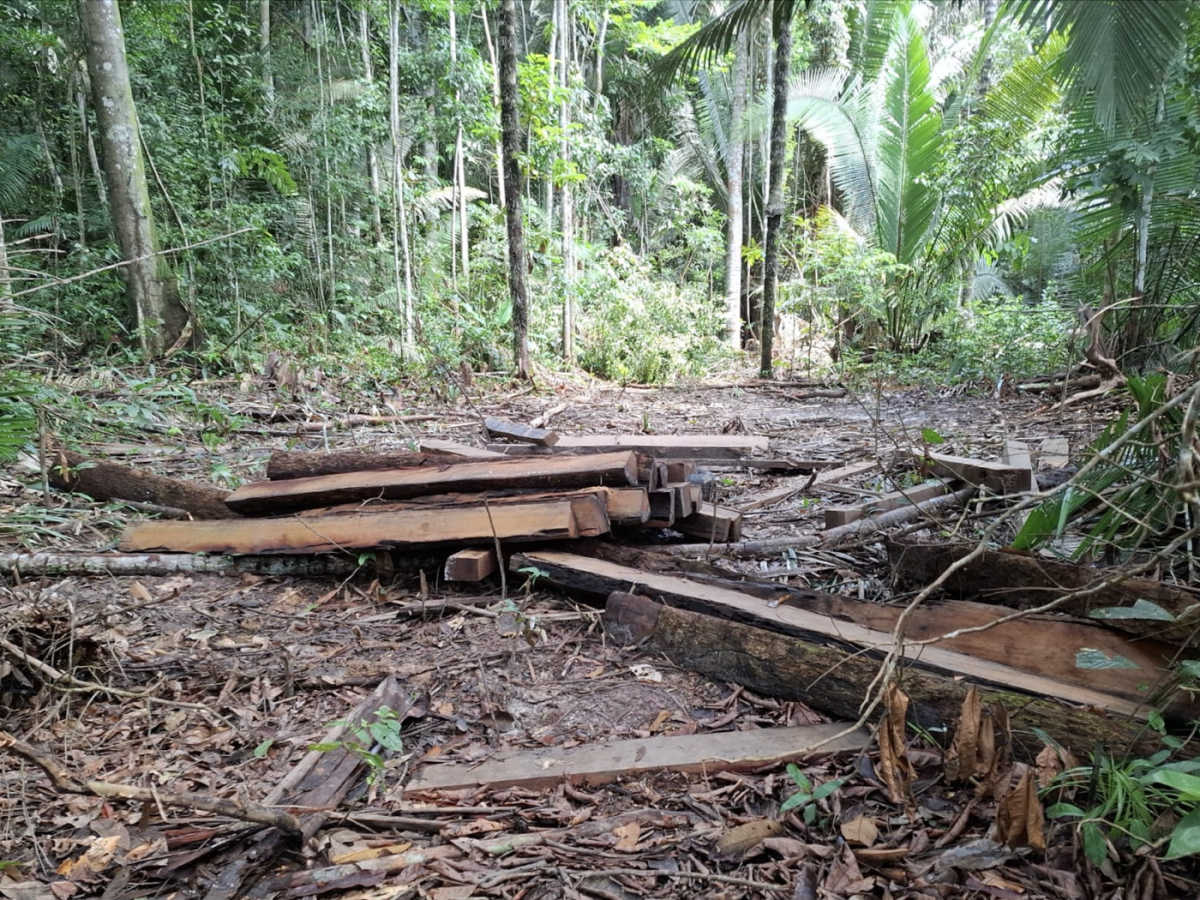 Karipuna relatam novas invasões e cobram ação do governo brasileiro na Terra Indígena