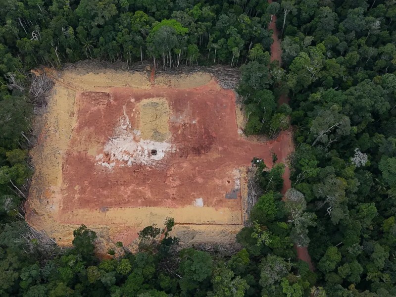 Eneva recebe licença para perfurar gás em área sensível do Amazonas