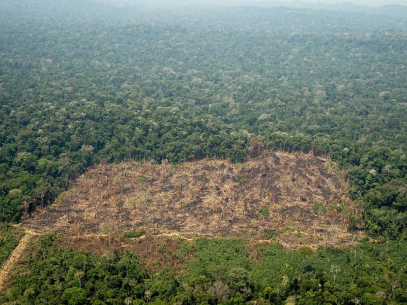 Marcados para morrer: Violência contra indígenas em RO segue padrão e revela rede de invasões na Amazônia