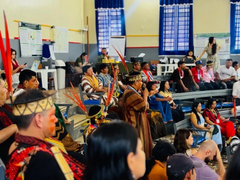 Por que os povos indígenas ainda não conseguem “aldear” a política institucional?