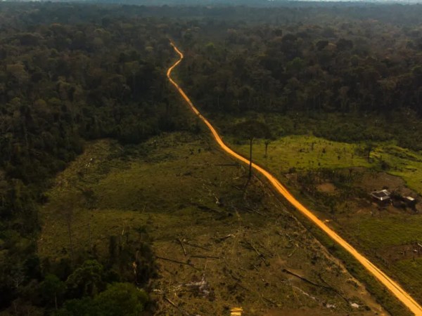 Explosão na abertura de estradas e ramais revela nova engrenagem do desmatamento na Amazônia acreana