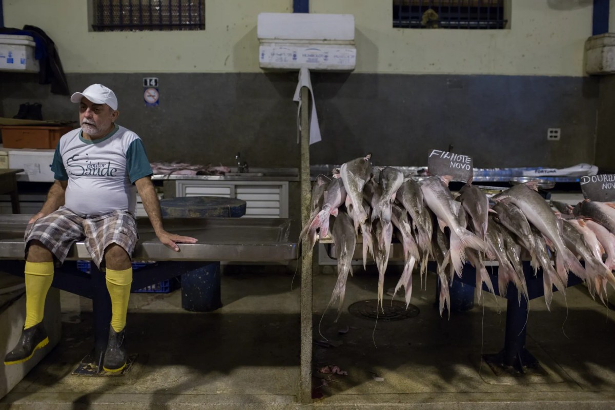 Peixes migratórios colapsam e colocam a Amazônia no centro da crise