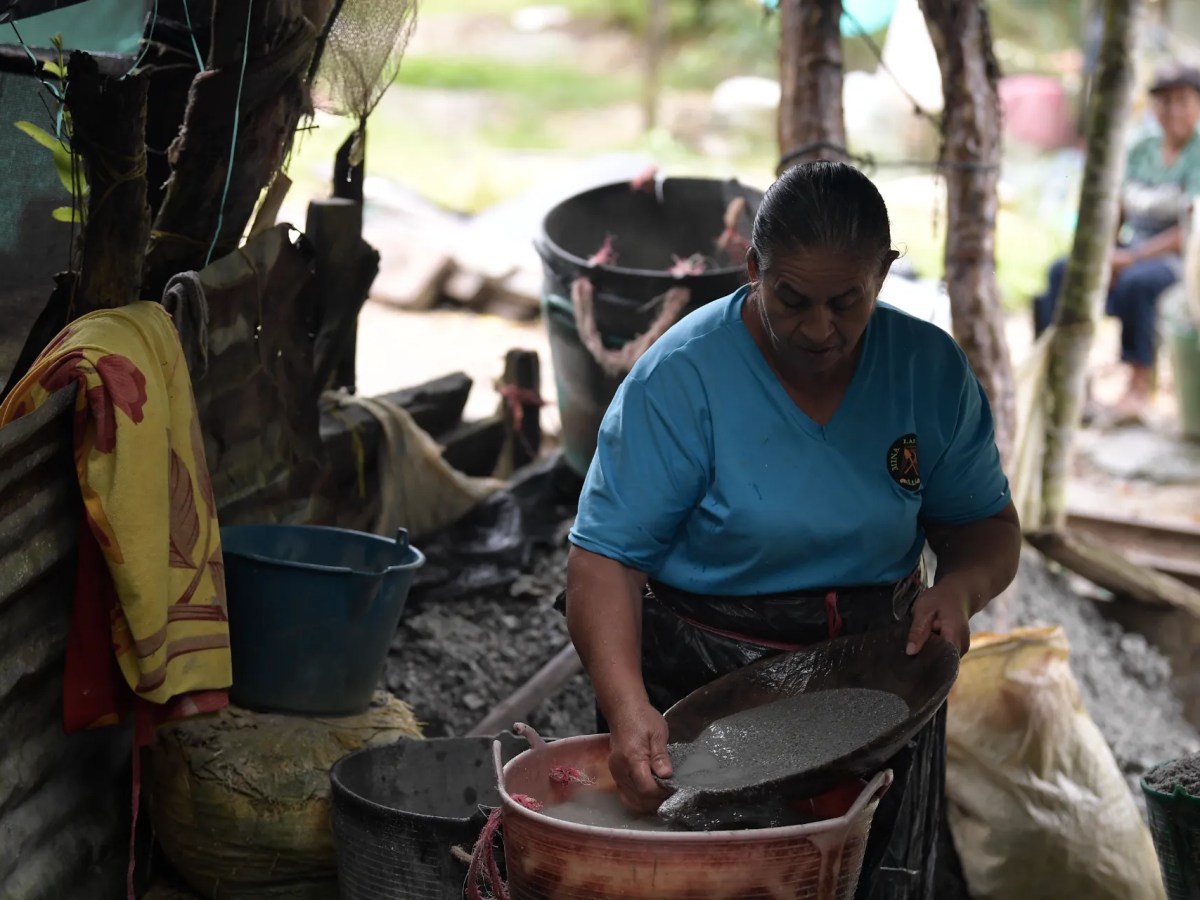 Este científico le sigue la pista al mercurio y le preocupa mucho lo que pasa en la Amazonia