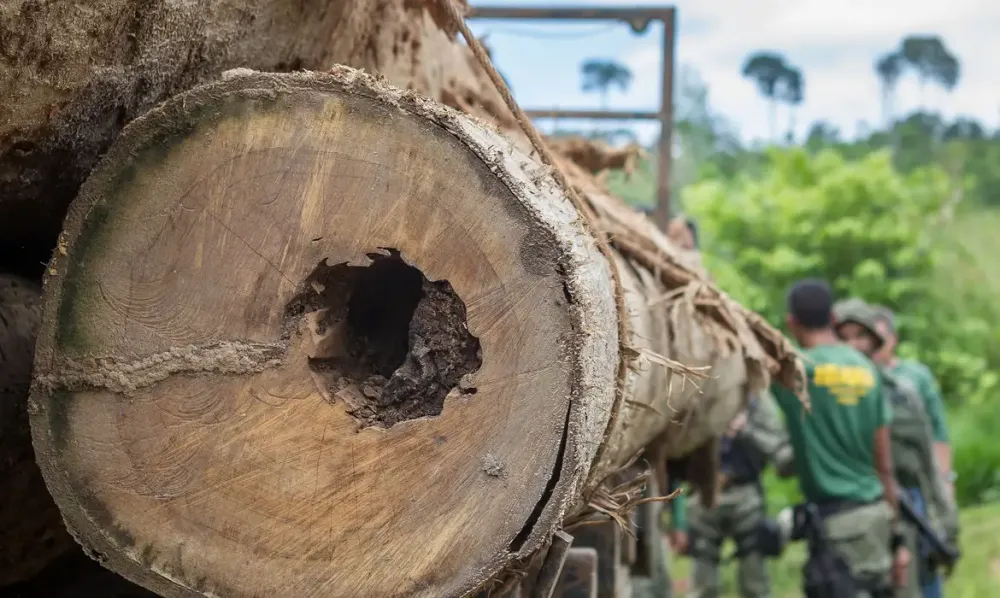 Alertas de desmatamento caem na Amazônia e no Cerrado em abril, mas avanço da seca preocupa especialistas