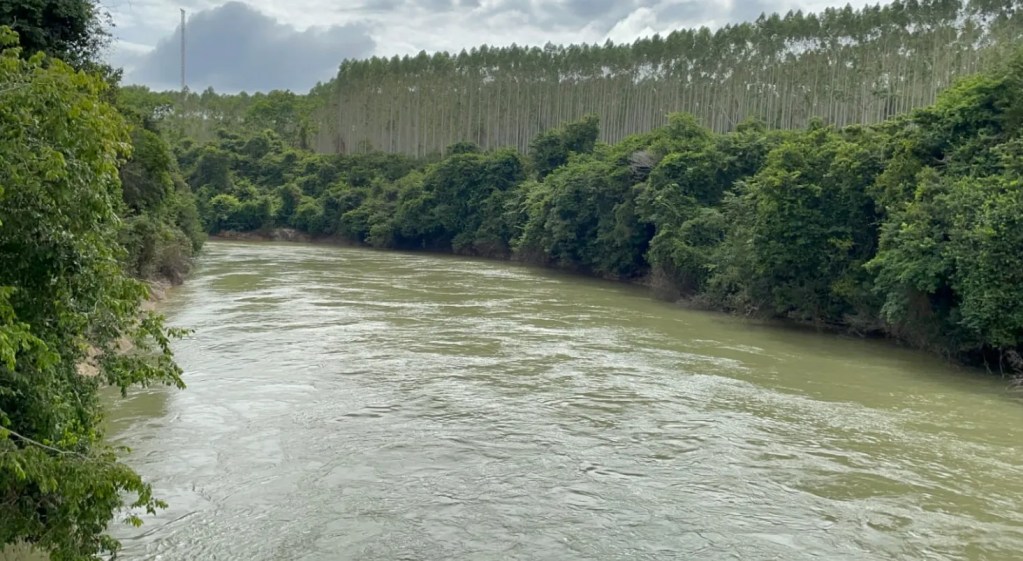 Justiça após 11 anos: condenação por morte de defensor ambiental expõe padrão de violência no campo