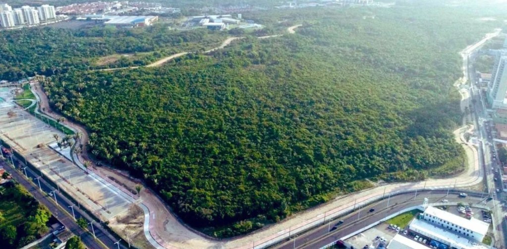 Justiça condena Município de São Luís por crime ambiental