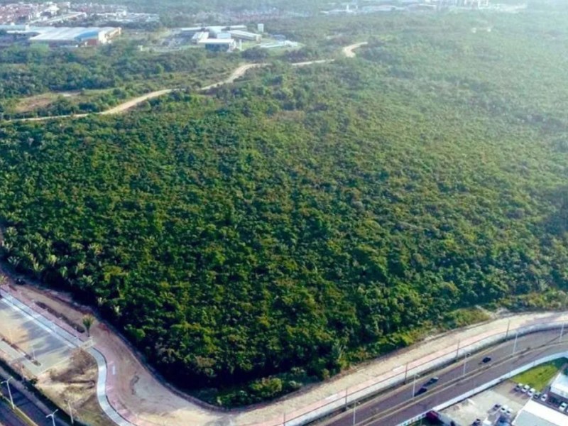 Justiça condena Município de São Luís por crime ambiental