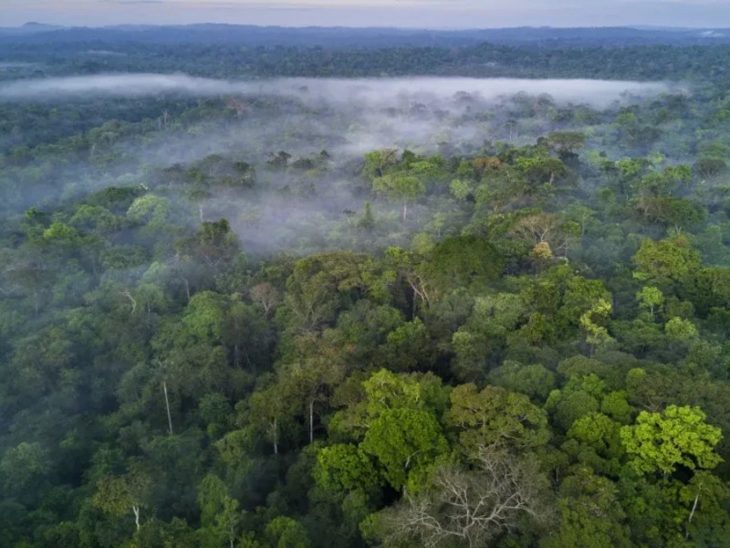 Semana do Clima na Amazônia é patrocinada por mineradoras condenadas por crimes ambientais