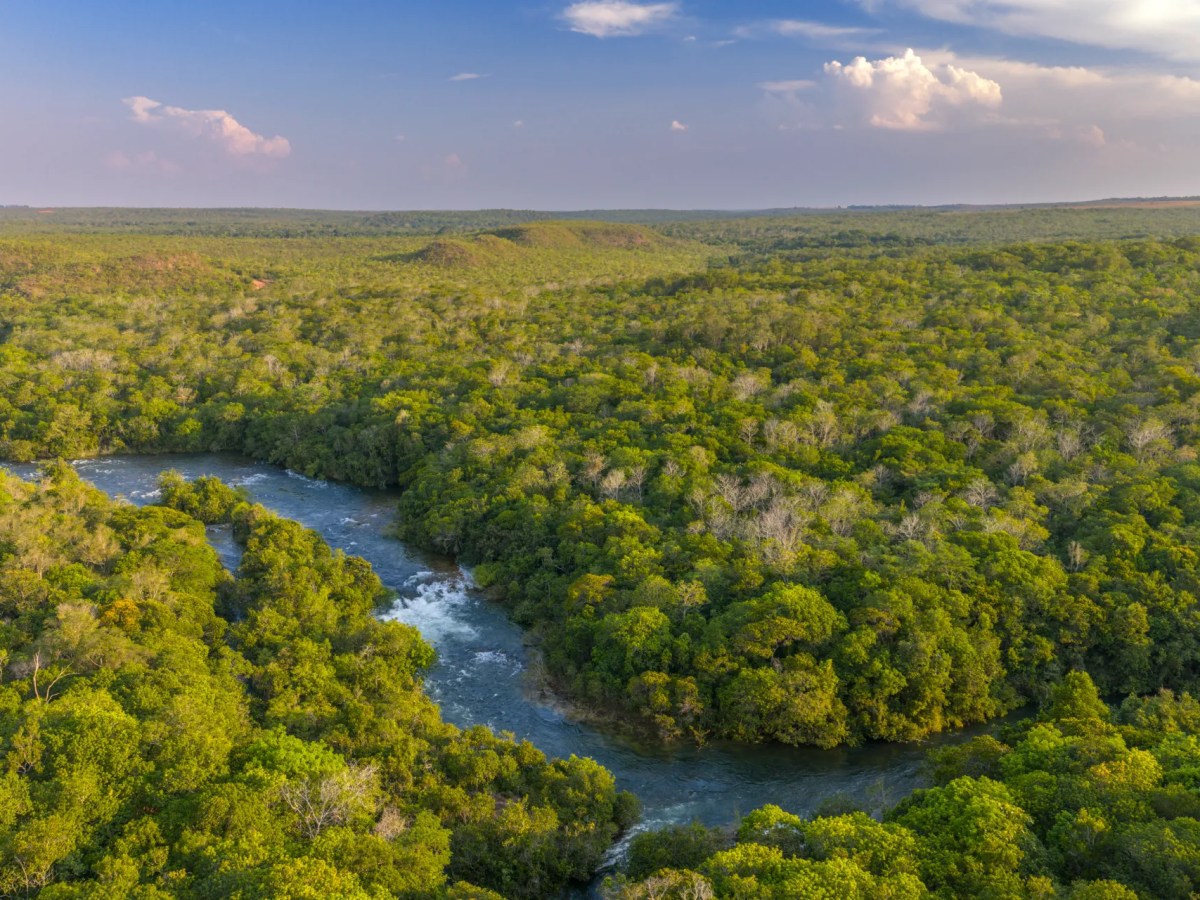 Na bacia do Alto Juruena, indígenas se adaptam à redução de mais da metade da superfície de água em seus territórios