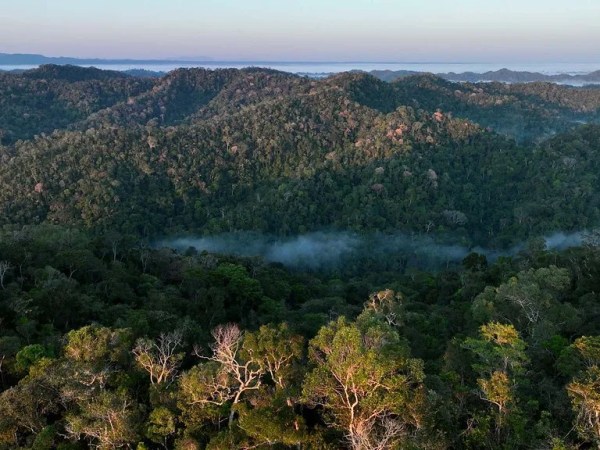 UCs do Vale do Juruá entram no mapa das áreas protegidas mais ameaçadas da Amazônia