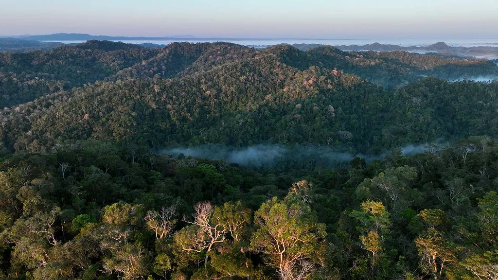 UCs do Vale do Juruá entram no mapa das áreas protegidas mais ameaçadas da Amazônia