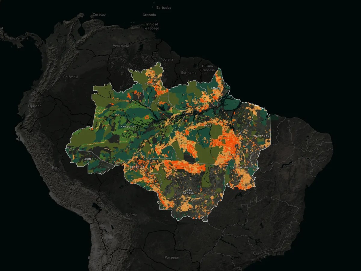 Busca por minerais estratégicos para alta tecnologia dispara e processos atingem 23 milhões de hectares na Amazônia Legal