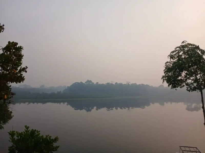 CONAQ denuncia racismo ambiental e alerta para impactos das queimadas sobre quilombos do Amazonas