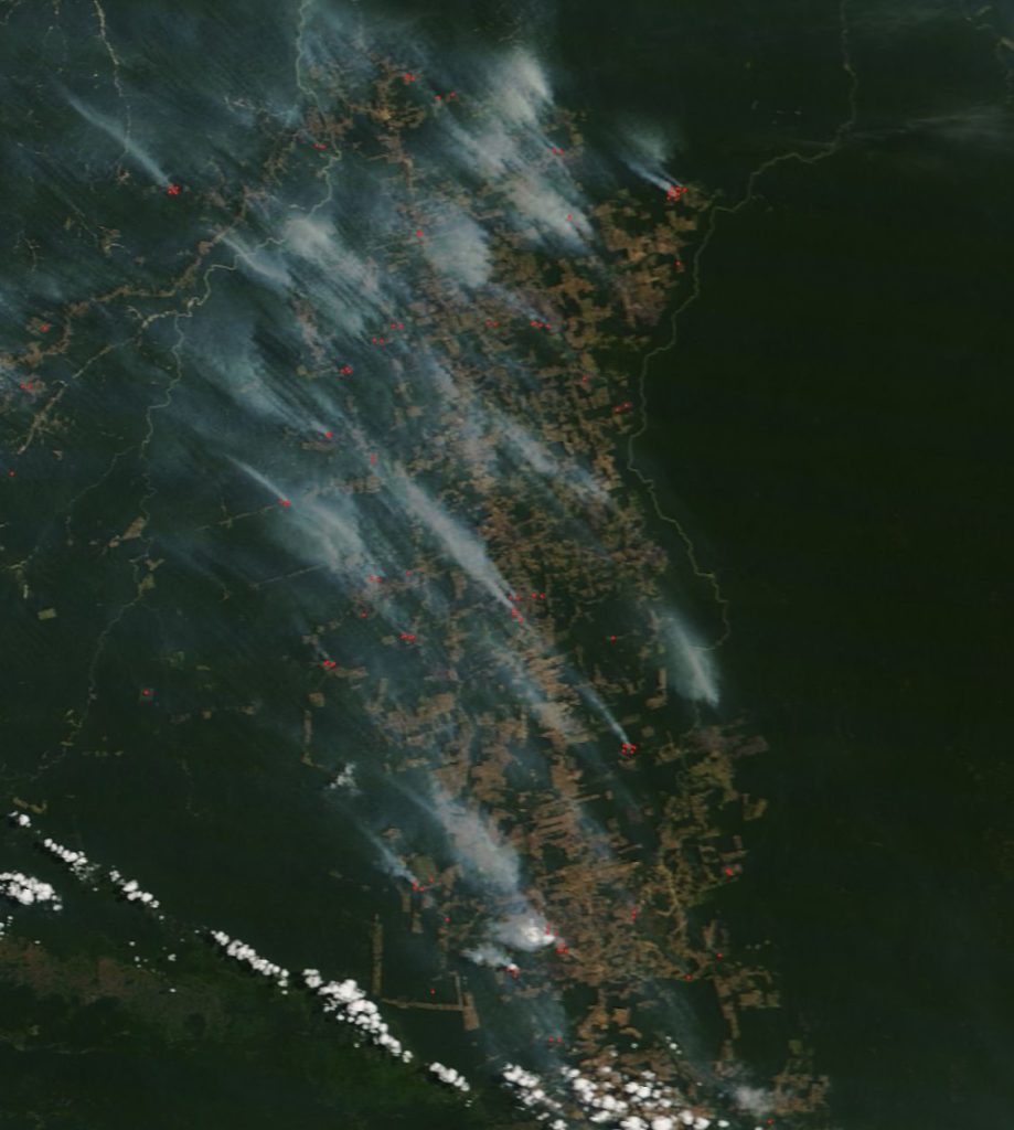 Amazonas: Incendios forestales 38% más grandes, 16 días en llamas